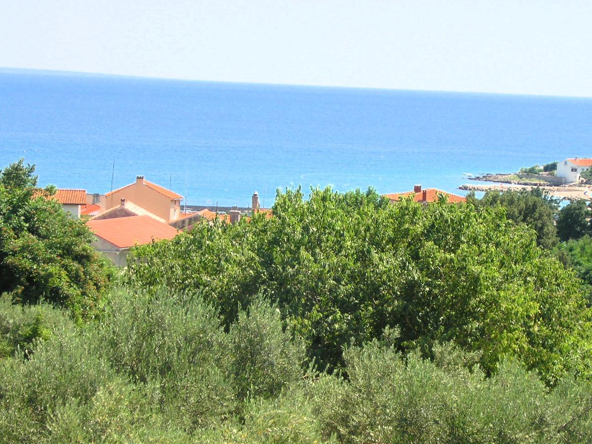 Danijel Krk Town